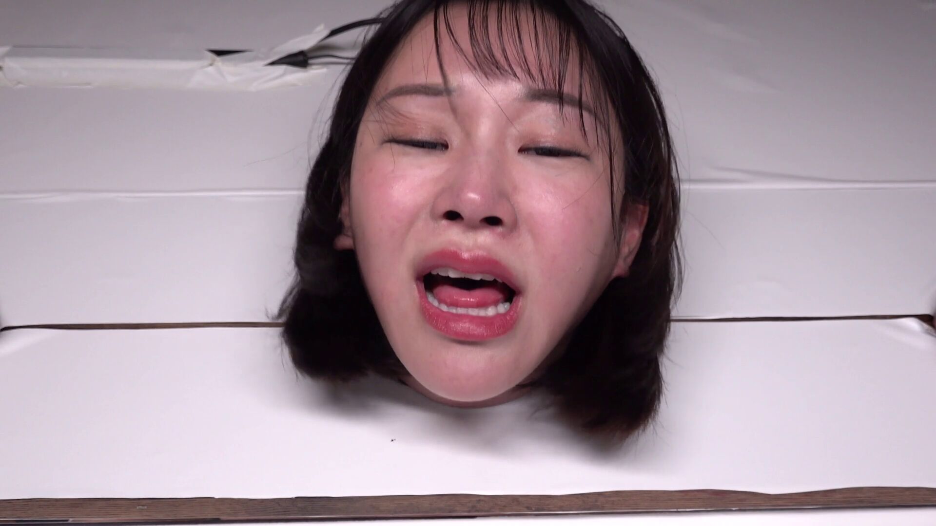 Blog image 8